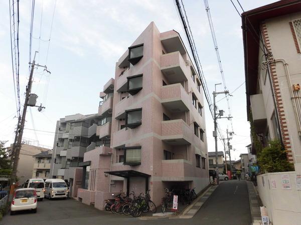 シェモア１９