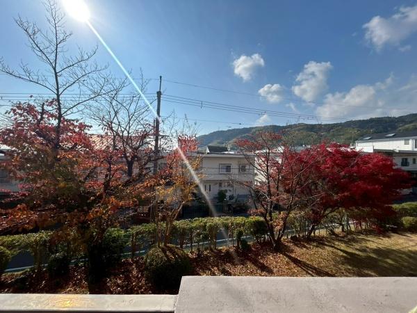 円明寺ヶ丘団地B棟204号