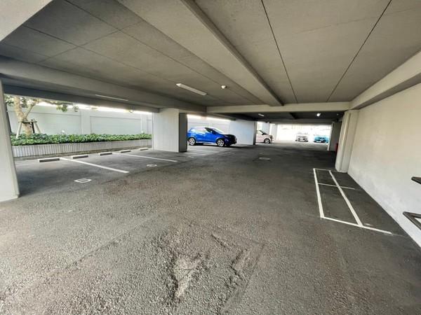 カルム長岡京　204号