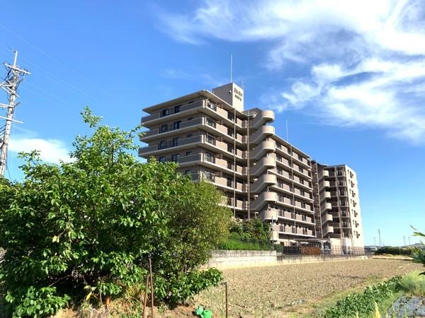 ブレドール向日町東　810号