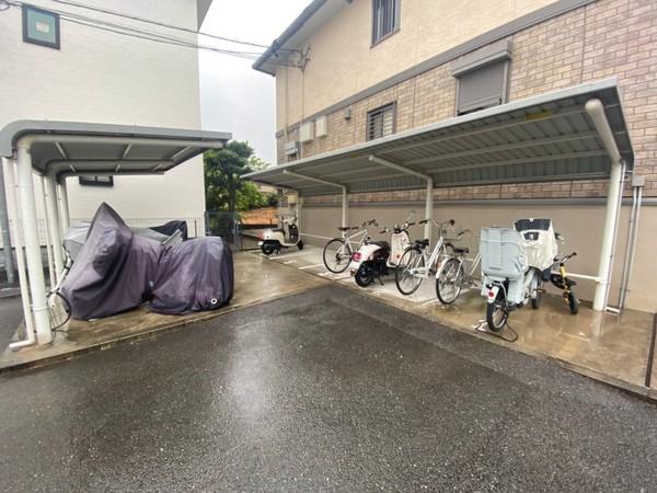フォレストほうじの木