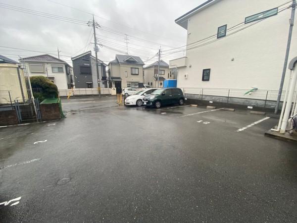 フォレストほうじの木