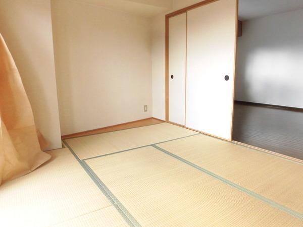 ビューテラス桂南