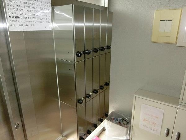 フィップロード
