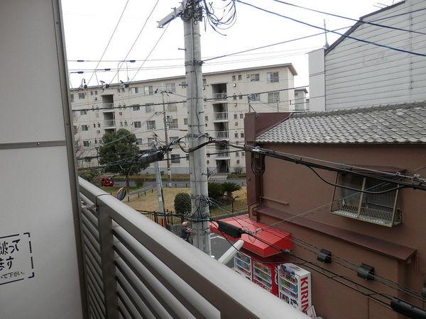 コーラルリーフ