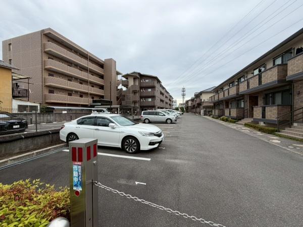 アリヴィオ清涼