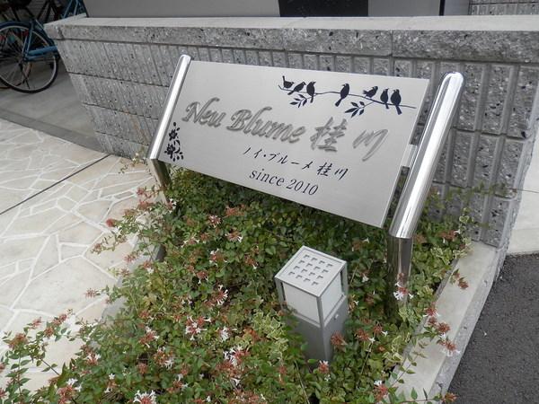 ノイブルーメ桂川