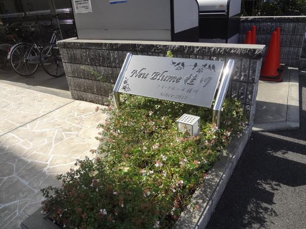 ノイブルーメ桂川