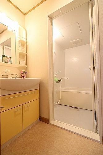 ソレイユ西向日A棟(洗面台・洗面所)