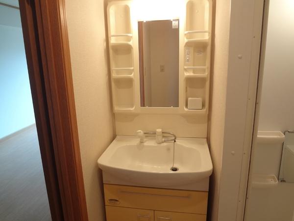 ソレイユ西向日A棟(洗面台・洗面所)