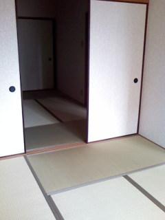 ロイヤル清涼