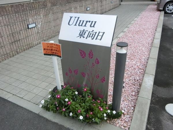 Ｕｌｕｒｕ東向日
