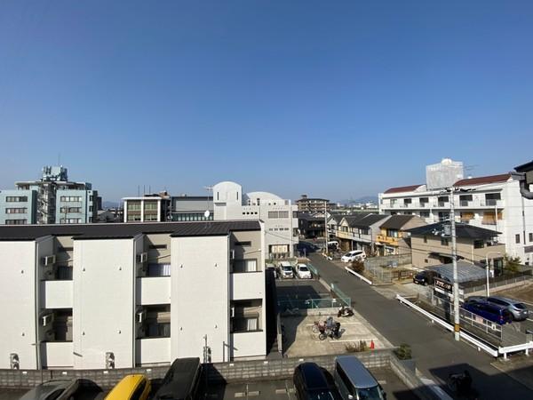 レションド清涼