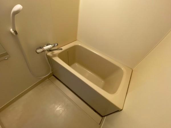 レションド清涼