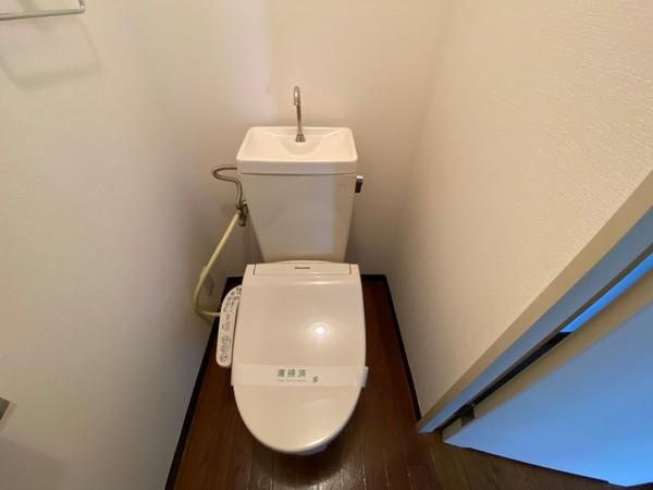 レションド清涼