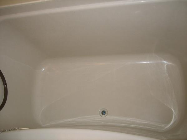 フロイデ東向日