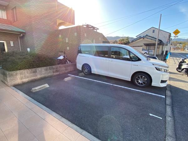 Sunshine八角