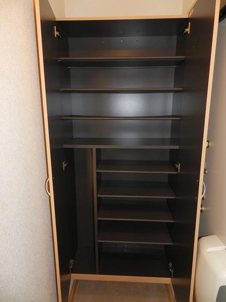 ルミエール菱川(収納)