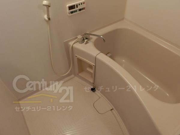 アンボワーズ31