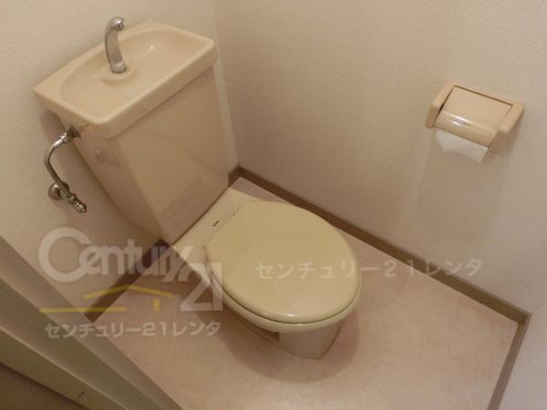 アンボワーズ31