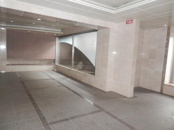 ダイナソアール