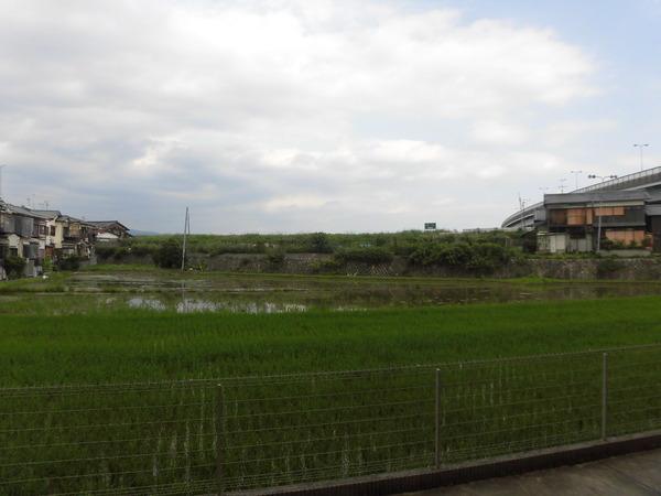 リバーフロント鴨川