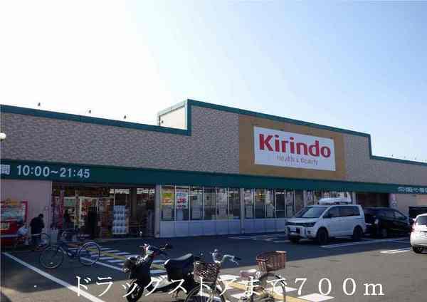 アミュゾン菱川(ドラッグストア)