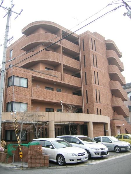 エクセル清涼