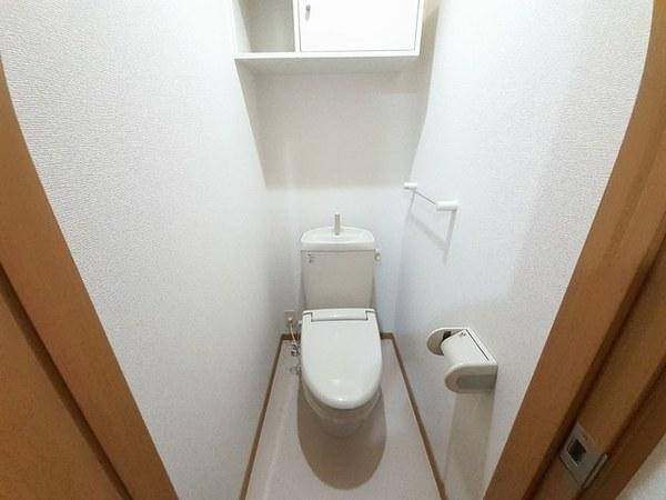 グレースコート