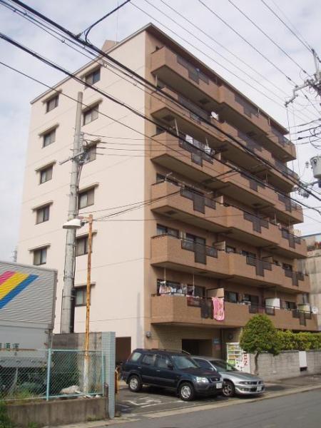 グリーンスカイ藤