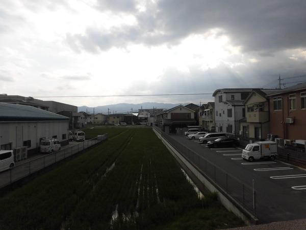 ヴェルドミール