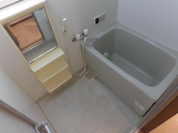 ヴェルドミール