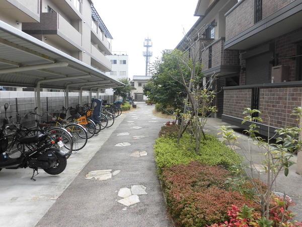 アリヴィオ清涼