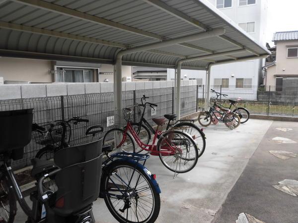 アリヴィオ清涼