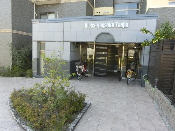 アルファ長岡天神