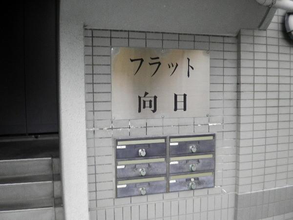 フラット向日