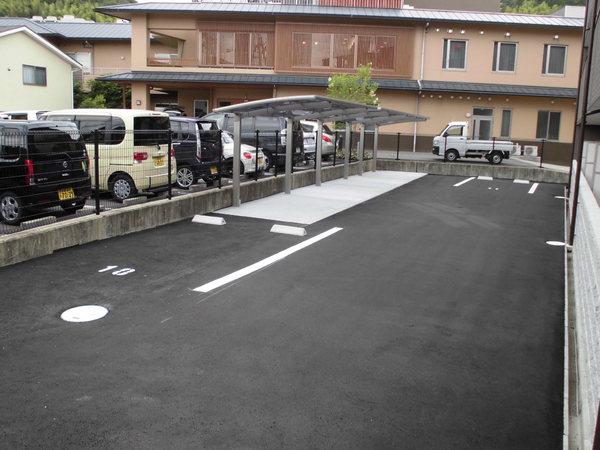 アンプルールフェール樹