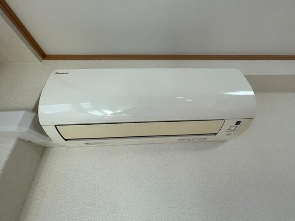 アンプルールフェール樹