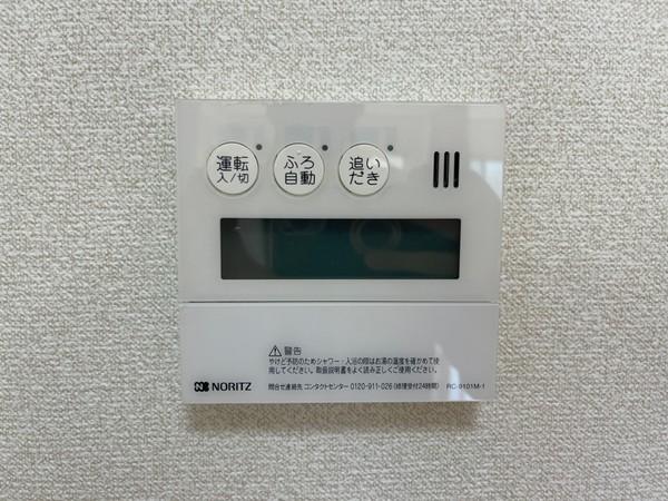 アンプルールフェール樹