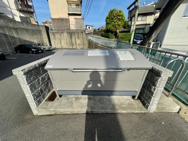 アンプルールフェール樹