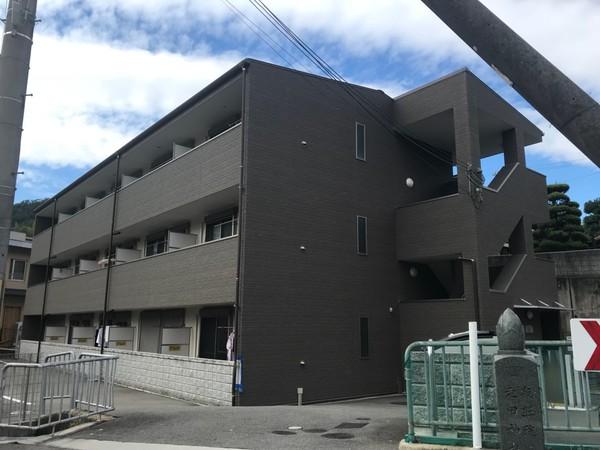 アンプルールフェール樹