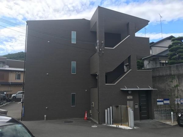 アンプルールフェール樹