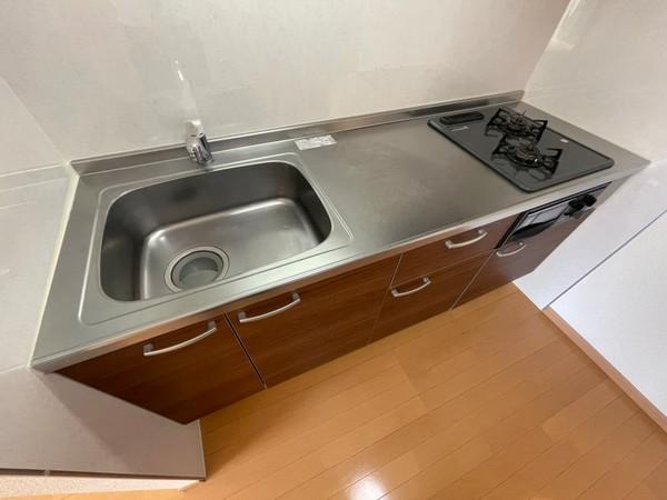 アンプルールフェール樹
