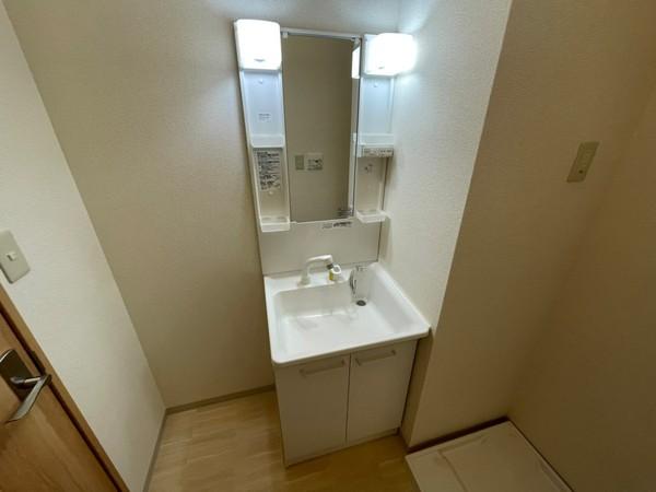 アンプルールフェール樹