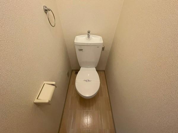 アンプルールフェール樹