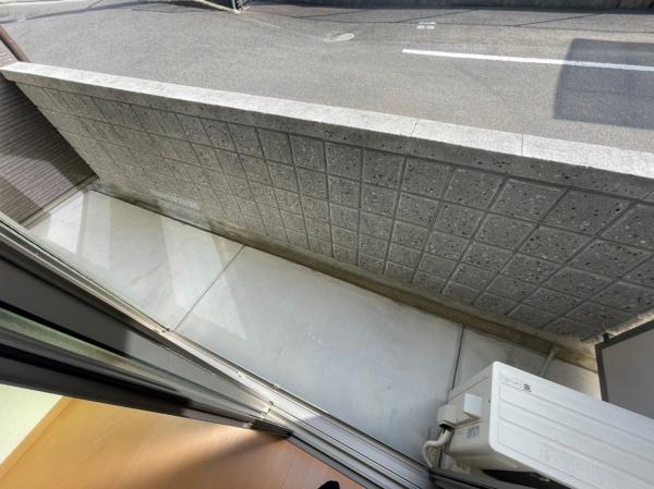 アンプルールフェール樹