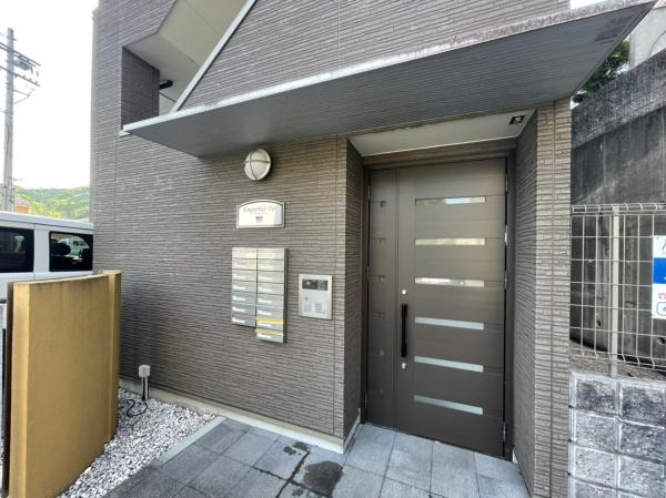 アンプルールフェール樹
