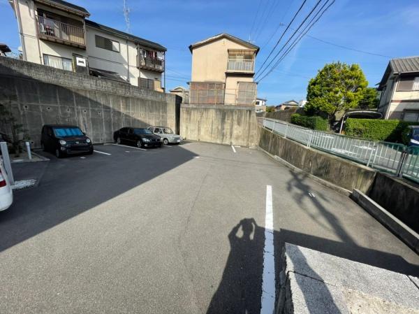 アンプルールフェール樹