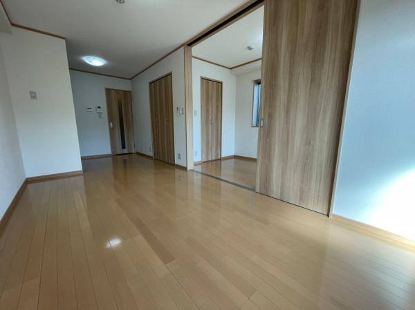 アンプルールフェール樹