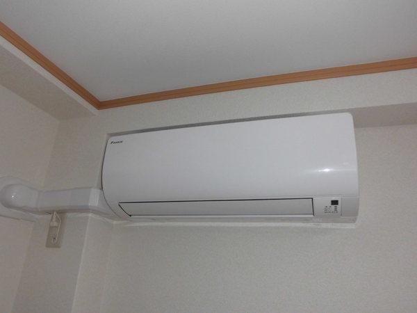 アンプルールフェール樹